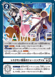 シスタモン姉妹のトレーニングジム