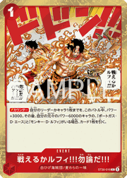 戦えるかルフィ!!!勿論だ!!!
