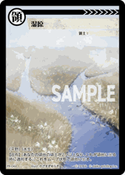 湿原