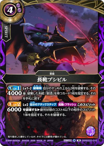 長靴プシビル（26RBS02 26RBS02-016 M / 幻惑の翔風）