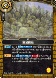 覇王樹壁