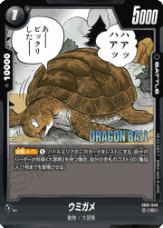 ウミガメ