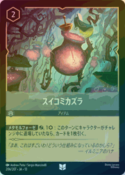 スイコミカズラ