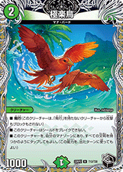 極楽鳥