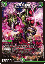 ドマンモ龍樹