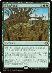 若木の生育場/Sapling Nursery