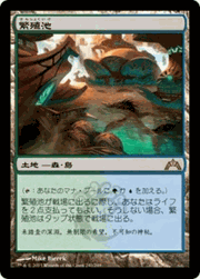 繁殖池/Breeding Pool