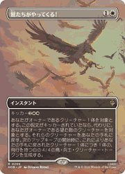 鷲たちがやってくる！/The Eagles Are Coming！（ボーダーレス版）