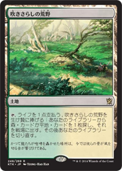 吹きさらしの荒野/Windswept Heath（KTK 557/613 レア / 『タルキール覇王譚』『タルキール覇王譚』ブロック第１弾）