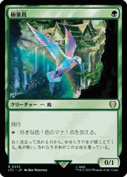 極楽鳥/Birds of Paradise