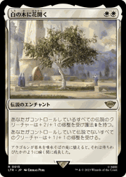 白の木に花開く/Flowering of the White Tree