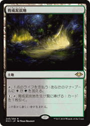 育成泥炭地/Nurturing Peatland