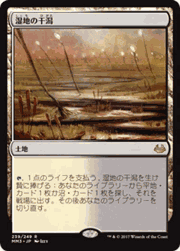 湿地の干潟/Marsh Flats