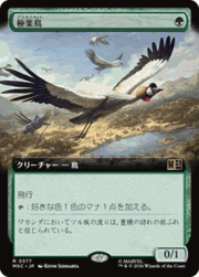 極楽鳥/Birds of Paradise（拡張アート版）