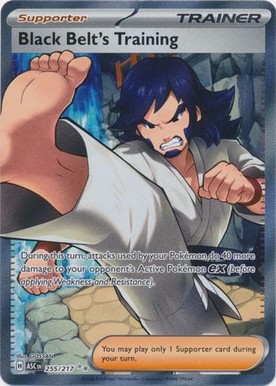 Black Belt'sTraining（ASC 255/217 Ultra Rare / Ascended Heroes / Mega）