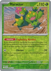 Maractus