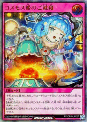 コスモス姫のご就寝