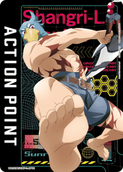 アクションポイントカード