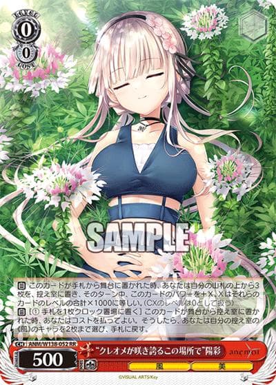 “クレオメが咲き誇るこの場所で”陽彩（RR / ブースターパックanemoi / anemoi）