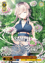 “クレオメが咲き誇るこの場所で”陽彩