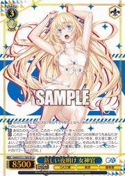 新しい夜明け 女神官