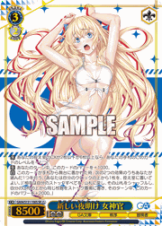 新しい夜明け 女神官
