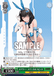メアリー - メディカルラビット