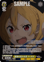 最強を従える者 フェルト