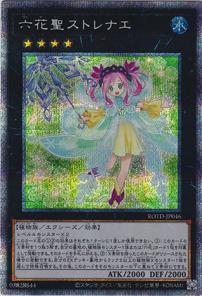 六花聖ストレナエ（ROTD-JP ROTD-JP046 プリズマティックシークレット / RISE OF THE DUELIST / 第11期）
