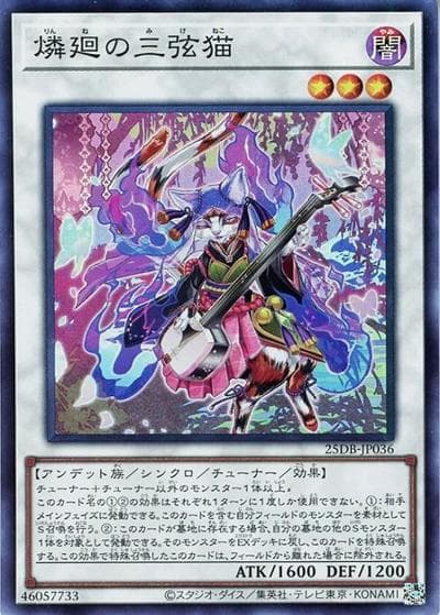 燐廻の三弦猫（25DB-JP 25DB-JP036 スーパーレア / DUELIST BOX -PRISMATIC SUMMON- / 第13期）