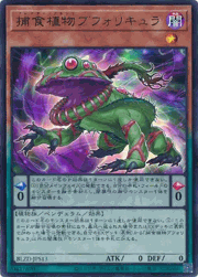 捕食植物ブフォリキュラ