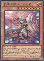 教導の騎士フルルドリス