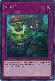 やぶ蛇