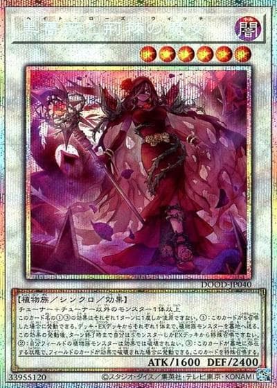 黒薔薇と荊棘の魔女（DOOD-JP DOOD-JP040 プリズマティックシークレット / DOOM OF DIMENSIONS / 第13期）