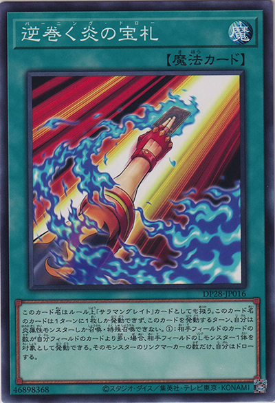 逆巻く炎の宝札（DP28-JP DP28-JP016 ノーマル / デュエリストパック – 爆炎のデュエリスト編 – / 第12期）