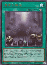 真帝王領域