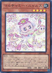 マルチャミー・ニャルス
