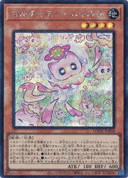 マルチャミー・ニャルス