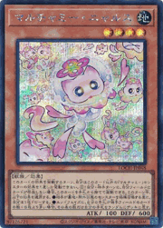 マルチャミー・ニャルス