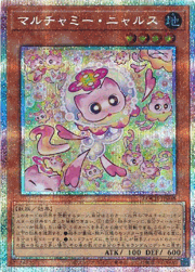 マルチャミー・ニャルス