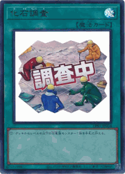 化石調査