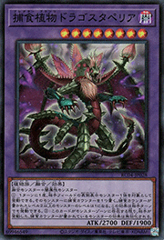 捕食植物ドラゴスタペリア