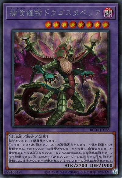 捕食植物ドラゴスタペリア（RC04-JP RC04-JP028 シークレット / RARITY COLLECTION – QUARTER CENTURY EDITION – / 第11期）
