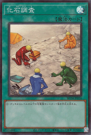 化石調査