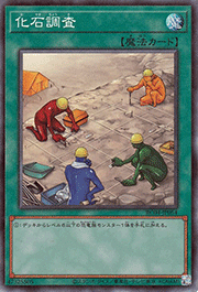 化石調査