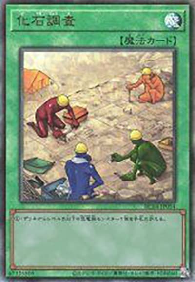 化石調査（RC04-JP RC04-JP054 アルティメット / RARITY COLLECTION – QUARTER CENTURY EDITION – / 第11期）