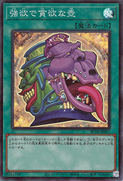 強欲で貪欲な壺