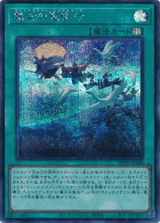 魔女の聖夜行