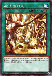 魔法族の里