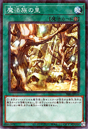 魔法族の里